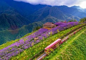 Thung lũng Mường Hoa Sapa